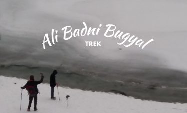 Ali-Badni