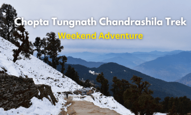 Jungle Safari & Rafting in Ganges